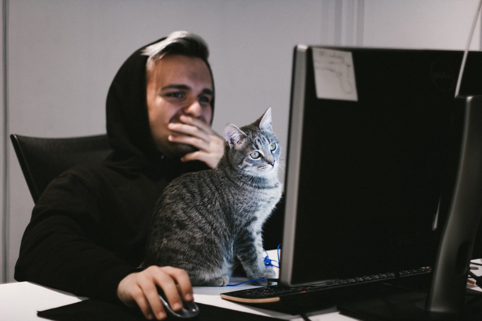 trabalho remoto e produtividade